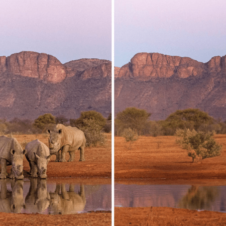 Η φωτογράφος που συγκέντρωσε 1,5 εκατ. ευρώ για τα άγρια ζώα προειδοποιεί: «Η φύση σβήνει»