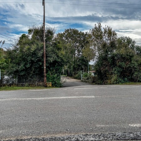 ΦΟΙΝΙΚΟΥΝΤΑ ΔΟΛΟΦΟΝΙΑ