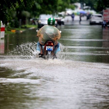 ΜΕΛΙΣΣΑ ΚΥΚΛΩΝΑΣ ΚΑΡΑΙΒΙΚΗ ΤΖΑΜΑΙΚΑ
