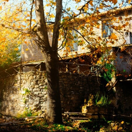 NORTH EVIA PASS 2025 ΑΙΤΗΣΕΙΣ