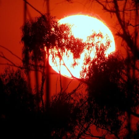 Κλιματική κρίση: Η ζέστη σκοτώνει ένα άτομο το λεπτό παγκοσμίως