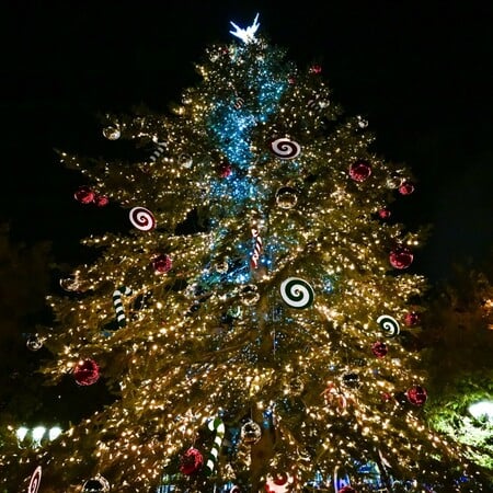 ΧΡΙΣΤΟΥΓΕΝΝΙΑΤΙΚΟ ΔΕΝΤΡΟ ΧΡΙΣΤΟΥΓΕΝΝΑ