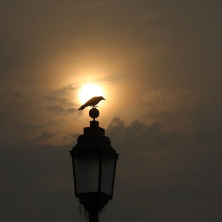ΙΝΔΙΑ ΤΕΧΝΗΤΗ ΒΡΟΧΗ ΝΕΟ ΔΕΛΧΙ