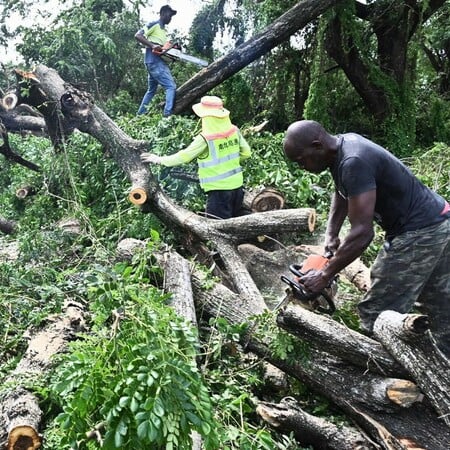 Τζαμάικα: Οι κάτοικοι ψάχνουν τροφή στους δρόμους – Η απελπισία κυριαρχεί μετά τον τυφώνα Μελίσα