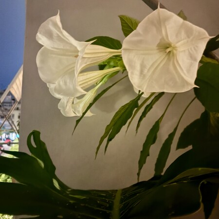 Ο χάρτης μου τώρα