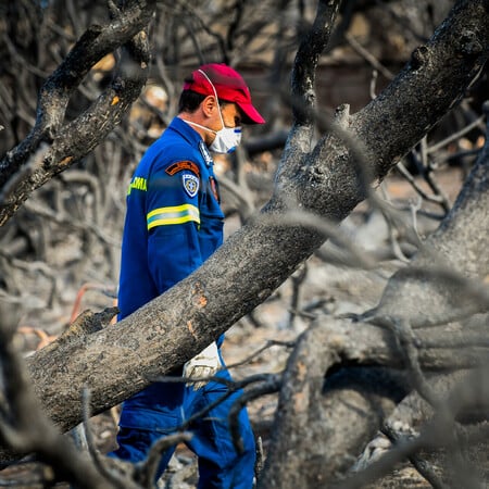 ΠΑΣΟΚ: Ζητά αποκατάσταση της άνισης μεταχείρισης των θυμάτων και συγγενών της τραγωδίας στο Μάτι