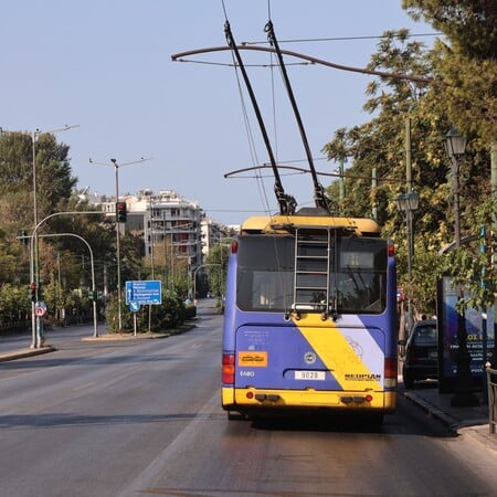 ΦΩΤΙΑ ΤΩΡΑ ΤΡΟΛΕΙ ΒΑΣΙΛΙΣΣΗΣ ΣΟΦΙΑΣ