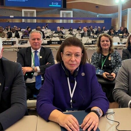 Λίνα Μενδώνη σε UNESCO για την επανένωση των Γλυπτών του Παρθενώνα: «Καλώ όλα τα κράτη-μέλη να στηρίξουν το αίτημα της Ελλάδας»