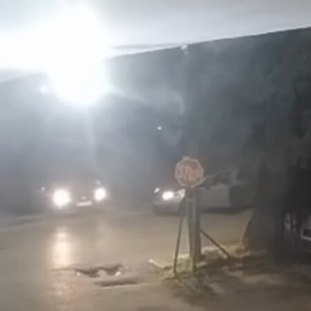 ΧΑΛΚΙΔΑ ΔΟΛΟΦΟΝΙΑ ΣΤΙΓΜΗ ΕΠΙΘΕΣΗΣ ΜΕ ΜΑΧΑΙΡΙ