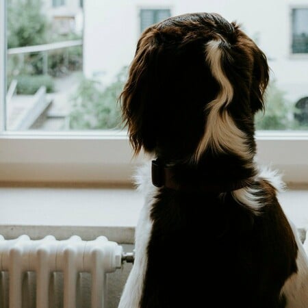 ΕΠΙΔΟΜΑ ΘΕΡΜΑΝΣΗ ΠΟΣΟ ΑΙΤΗΣΗ