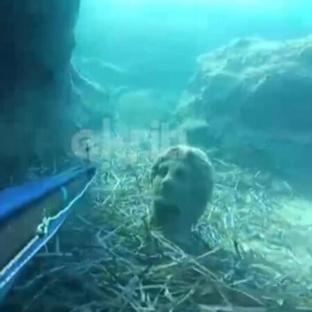 Ηράκλειο: Ψαροντουφεκάς εντόπισε ανθρώπινο άγαλμα στον βυθό