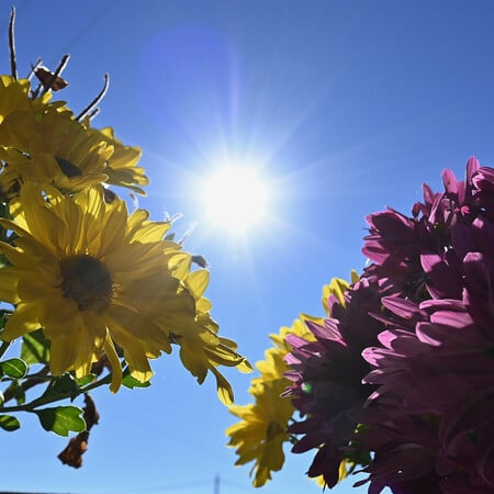 Καιρός - Τσατραφύλλιας: Έρχεται θερμή εισβολή με σκόνη και υψηλές θερμοκρασίες