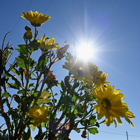 Καιρός: Ηλιοφάνεια και υψηλές θερμοκρασίες σε όλη τη χώρα σήμερα