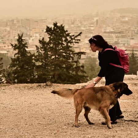 ΚΑΙΡΟΣ ΑΦΡΙΚΑΝΙΚΗ ΣΚΟΝΗ