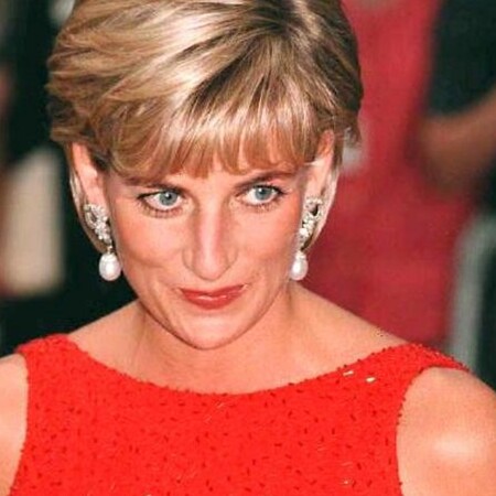 BBC ΝΤΑΙΑΝΑ ΒΙΒΛΙΟ