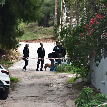 ΣΑΛΑΜΙΝΑ ΑΙΜΑΤΗΡΗ ΛΗΣΤΕΙΑ 75ΧΡΟΝΗ