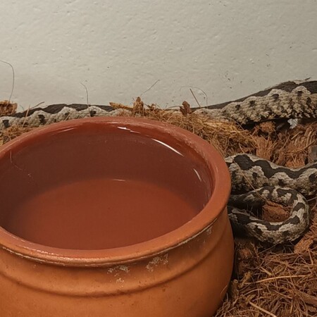 ΟΧΙΑ ΜΑΡΟΥΣΙ