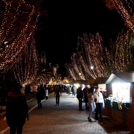 ΧΡΙΣΤΟΥΓΕΝΝΑ ΠΕΔΙΟ ΤΟΥ ΑΡΕΩΣ