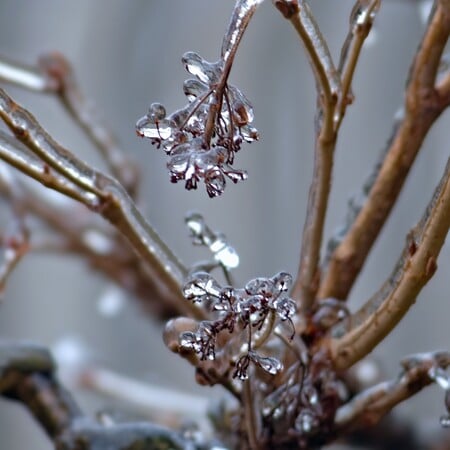 ΚΑΙΡΟΣ ΘΕΟΔΩΡΟΣ ΚΟΛΥΔΑΣ ΧΕΙΜΩΝΑΣ