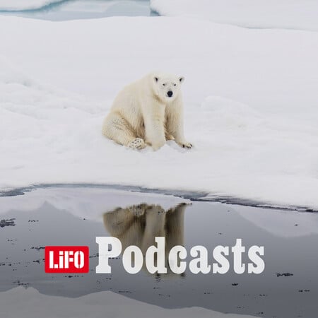 Περνάνε οι COP, αλλά οι πάγοι συνεχίζουν να λιώνουν