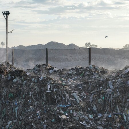 ΧΩΜΑΤΕΡΗ ΣΚΟΥΠΙΔΙΑ ΕΥΡΩΠΗ ΗΝΩΜΕΝΟ ΒΑΣΙΛΕΙΟ