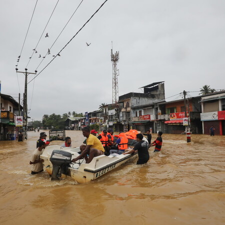 πλημμύρες ασία αποψίλωση 