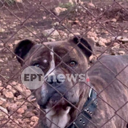 ΝΕΚΡΟ ΠΑΙΔΙ ΖΑΚΥΝΘΟΣ