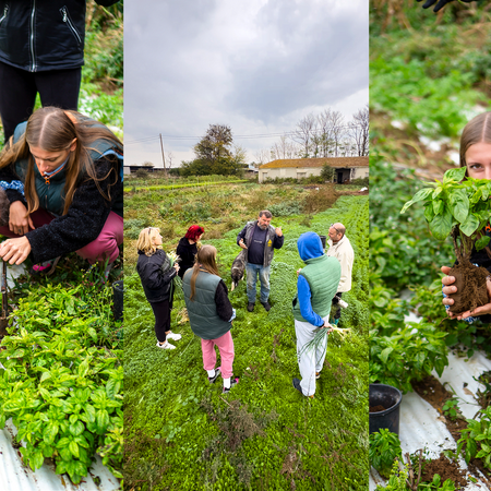 Η Αθηναϊκή Ζυθοποιία χτίζει το μέλλον και η Green Academy ανοίγει δρόμους στη βιωσιμότητα