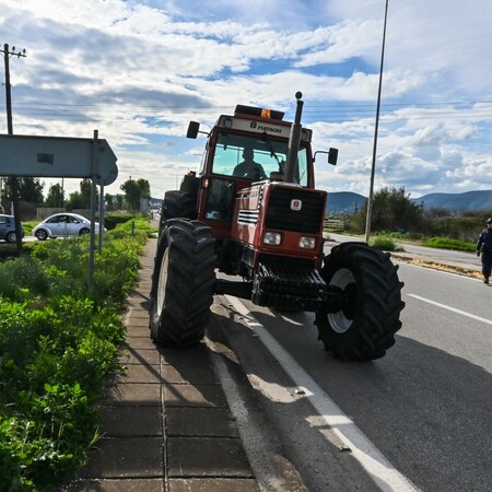 ΑΓΡΟΤΕΣ ΜΥΤΙΛΗΝΗ ΚΑΡΔΙΤΣΑ