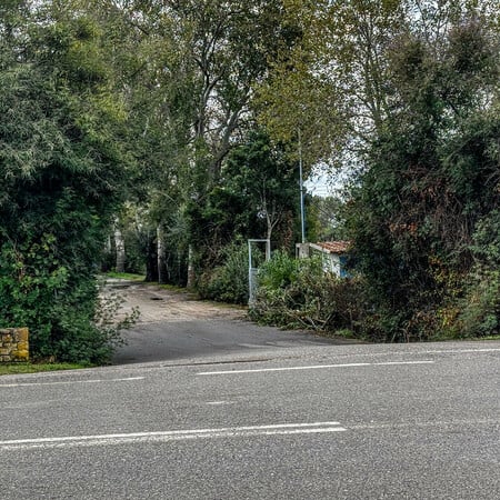 ΦΟΙΝΙΚΟΥΝΤΑ ΔΟΛΟΦΟΝΙΑ ΚΑΜΠΙΝΓΚ