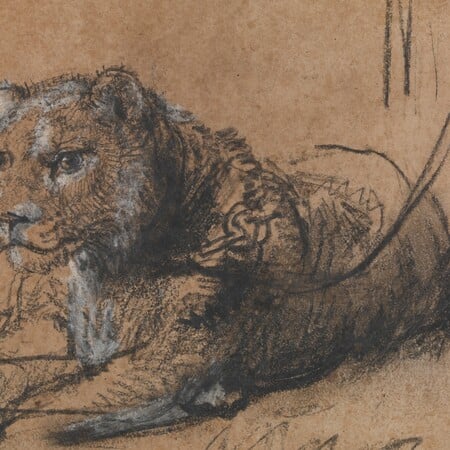 To μοναδικό Λιοντάρι που αναπαύεται του Ρέμπραντ σε δημοπρασία