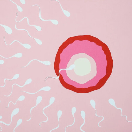 ΣΠΕΡΜΑ ΔΟΤΗ ΚΑΡΚΙΝΙΚΟ ΓΟΝΙΔΙΩΜΑ