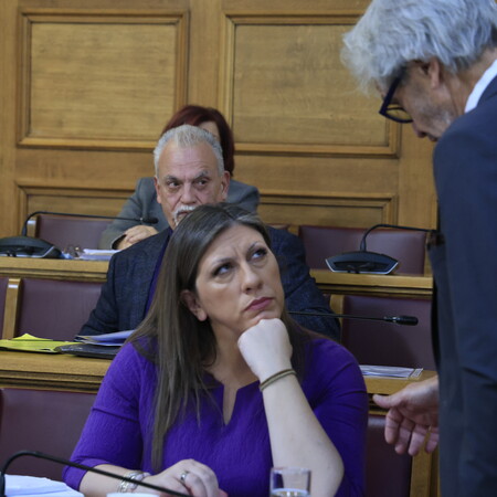 ΖΩΗ ΚΩΝΣΤΑΝΤΟΠΟΥΛΟΥ ΑΣΤΥΝΟΜΙΑ ΦΡΑΠΕΣ ΓΙΩΡΓΟΣ ΞΥΛΟΥΡΗΣ ΕΞΕΤΑΣΤΙΚΗ ΕΠΙΤΡΟΠΗ