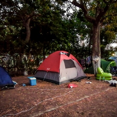 ΦΟΙΝΙΚΟΥΝΤΑ ΔΟΛΟΦΟΝΙΑ ΚΑΜΠΙΝΓΚ