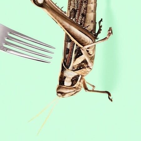 «Η εντομοφαγία μπαίνει σταδιακά στη διατροφή μας»