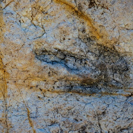 Ιταλία: Χιλιάδες αποτυπώματα δεινοσαύρων εντοπίστηκαν σε εθνικό πάρκο