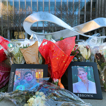 BROWN ΕΝΟΠΛΗ ΕΠΙΘΕΣΗ ΥΠΟΠΤΟΣ