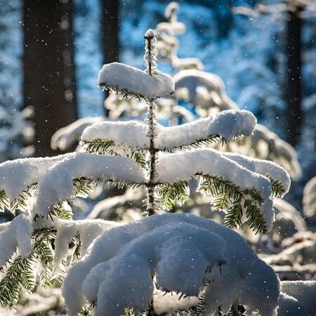 ΓΙΩΡΓΟΣ ΤΣΑΤΡΑΦΥΛΛΙΑΣ ΚΑΙΡΟΣ