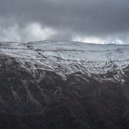 ΦΩΚΙΔΑ ΟΡΕΙΒΑΤΕΣ ΕΞΑΦΑΝΙΣΗ