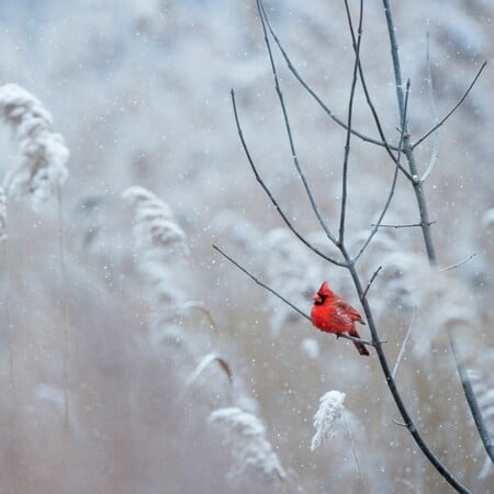 ΚΑΙΡΟΣ ΠΡΩΤΟΧΡΟΝΙΑ ΑΛΛΑΖΕΙ