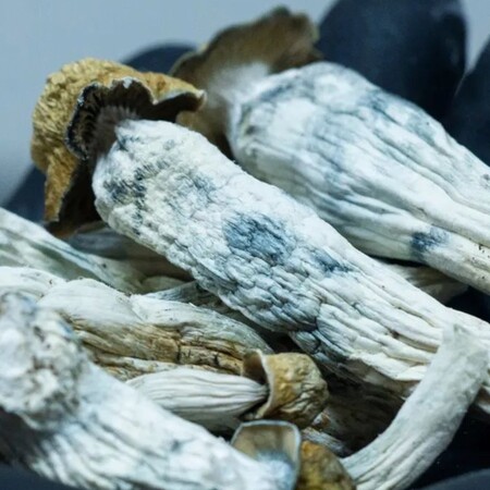 ΨΥΧΕΔΕΛΙΚΑ ΜΑΝΙΤΑΡΙΑ ΜΑΓΙΚΑ ΠΩΣ ΔΡΟΥΝ