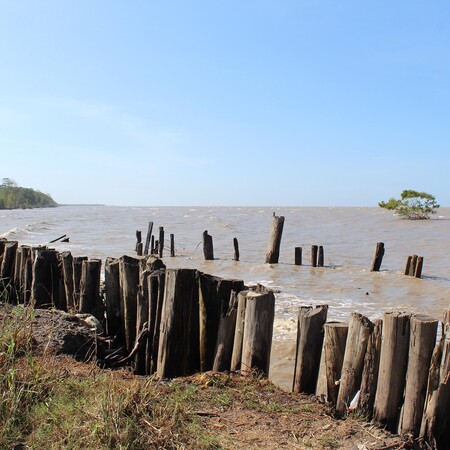 ΠΑΙΔΙΑ ΔΟΛΟΦΟΝΙΑ ΣΟΥΡΙΝΑΜ ΠΑΤΕΡΑΣ ΜΑΧΑΙΡΙ