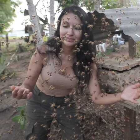 ΑΚΕΝΤΡΕΣ ΜΕΛΙΣΣΕΣ ΤΟΥ ΑΜΑΖΟΝΙΟΥ ΝΟΜΙΚΑ ΔΙΚΑΙΩΜΑΤΑ