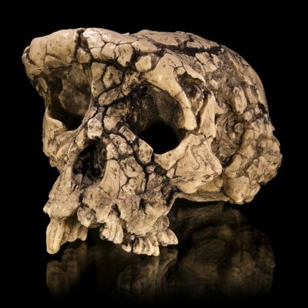 ΟΣΤΑ ΠΡΟΪΣΤΟΡΙΑ ΔΙΠΟΔΑ