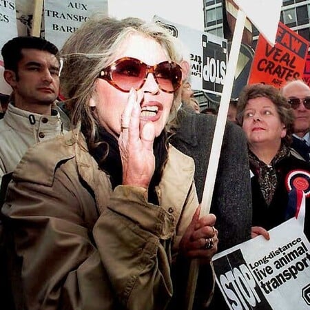 ΜΠΡΙΖΙΤ ΜΠΑΡΝΤΟ ΚΗΔΕΙΑ ΓΑΛΛΙΑ