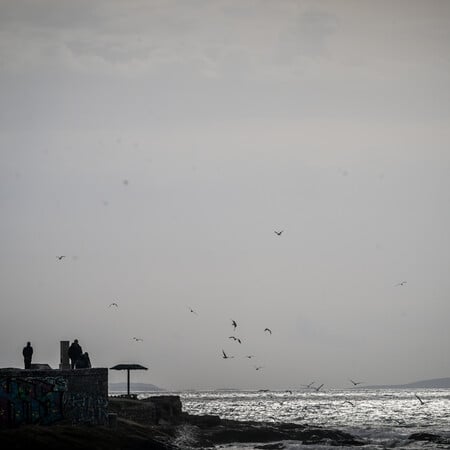 ΘΕΟΦΑΝΕΙΑ ΣΤΑΥΡΟΣ ΙΕΡΕΑΣ ΚΑΛΑΜΙ ΨΑΡΕΜΑΤΟΣ