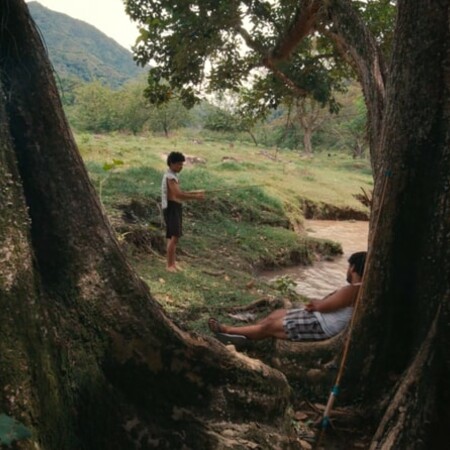 Ο θρήνος των τζιτζικιών