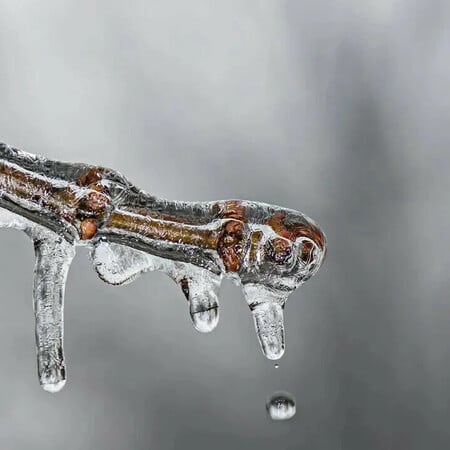 ΚΑΙΡΟΣ ΚΑΛΛΙΑΝΟΣ ΧΙΟΝΙΑ