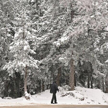 Καιρός: Πολική εισβολή σήμερα στη χώρα - Χιονοπτώσεις, ξεροβόρι και τσουχτερό κρύο