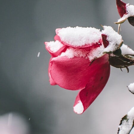 ΚΑΙΡΟΣ ΜΑΡΟΥΣΑΚΗΣ ΧΙΟΝΙΑ